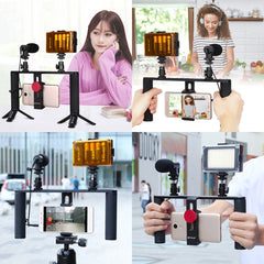 PULUZ 4 in 1 Vlogging Live Broadcast LED Selfie Light Smartphone Video Rig Handle Stabilizer Aluminum Bracket Kits with Microphone + Tripod Mount + Cold Shoe Tripod Head, Aluminum Bracket Kits