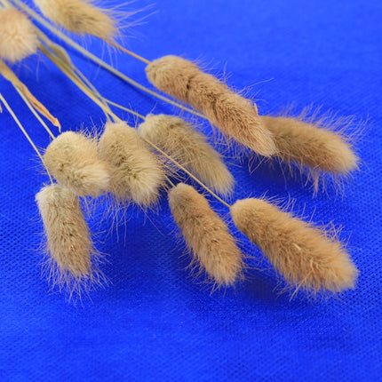 6 PCS PULUZ Collapsible Photography Studio Background, 6 Colors (Black, White, Red, Blue, Orange, Green), Size: 80cm x 40cm