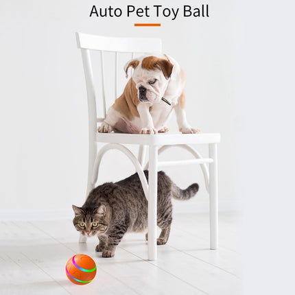 O1 Intelligent Remote Control Pet Toy Dog Training Luminous Ball