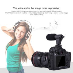 PULUZ 3.5mm Audio Stereo Recording Vlogging Professional Interview Microphone for DSLR & DV Camcorder, Smartphones, Mini Microphone(AE), Mini Microphone