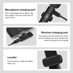 PULUZ Wireless Lavalier Noise Reduction Reverb Microphones for Type-C Phone, Type-C Receiver and Dual Microphones, Type-C Receiver and Dual Microphones