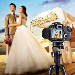 PULUZ Aluminum Alloy 360 Degree Rotation Panorama Ball Head with Quick Release Plate for Camera Tripod Head, Panorama Ball Head