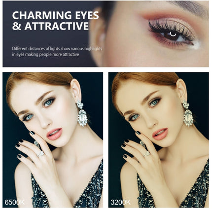 PULUZ 6.2 inch 16cm USB 3 Modes Dimmable LED Ring Vlogging Photography Video Lights with Tripod Ball Head