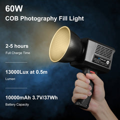 PULUZ 60W Studio Video Light 2500K-6500K Dual Color Temperature Professional Photography Fill Light, 60W Studio Video Light