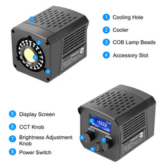 PULUZ 60W Studio Video Light 2500K-6500K Dual Color Temperature Professional Photography Fill Light