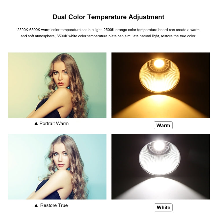 PULUZ 60W Studio Video Light 2500K-6500K Dual Color Temperature Professional Photography Fill Light