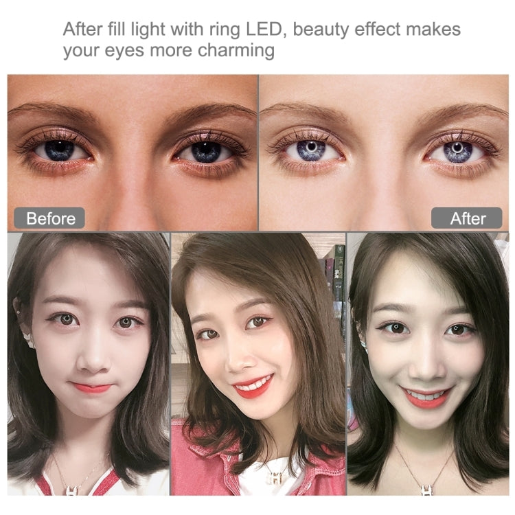 PULUZ 11.8 inch 30cm RGB Dimmable LED Dual Color Temperature LED Curved Diffuse Light Ring Vlogging Selfie Photography Video Lights with  Tripod Ball Head & Phone Clamp & Remote Control, 11.8 inch RGBW