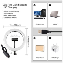 PULUZ 10.2 inch 26cm Curved Surface 168 LED Marquee LED RGBWW Dual-color Temperature Dimmable Ring Vlogging Photography Video Lights with Cold Shoe Tripod Ball Head & Remote Control & Phone Clamp, 10.2 inch Marquee LED