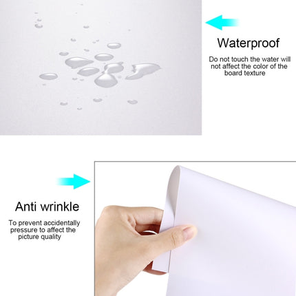 PULUZ Fotohintergrund-Set aus PVC-Papier für Studiozeltboxen, Größe: 156 cm x 80 cm, Hintergrund 80 cm (schwarz), Hintergrund 80 cm (orange), Hintergrund 80 cm (weiß)