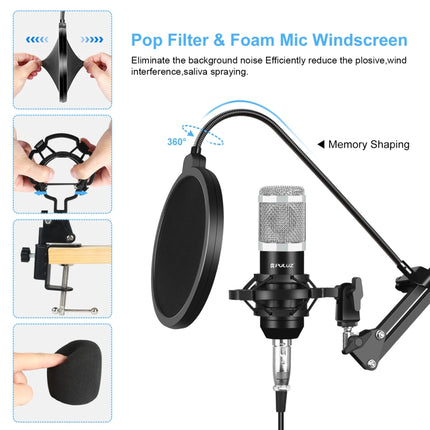 PULUZ Studio Broadcast Professionelle Gesangsmikrofon-Kits mit aufgehängtem Scherenarm und Metall-Stoßdämpferhalterung und USB-Soundkarte, Mikrofon-Kits (Silber), Mikrofon-Kits (Schwarz), Mikrofon-Kits (Gold)