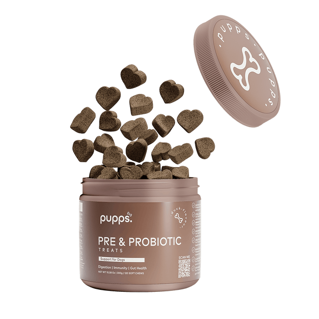 Pre & Probiotic Treats