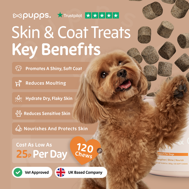 Skin & Coat Treats