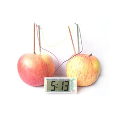 DIY Novel Green Science Potato Digital Clock Educational Kit with 2 inch LCD Screen (Potato NOT Included), Potato Digital Clock