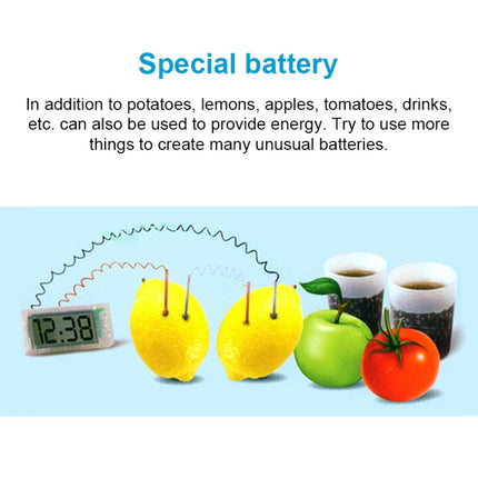 DIY Novel Green Science Potato Digital Clock Educational Kit with 2 inch LCD Screen (Potato NOT Included), Potato Digital Clock