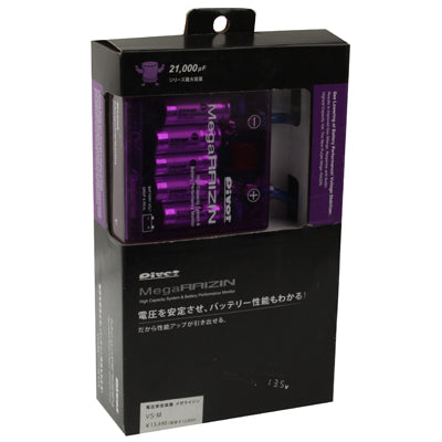 PIVOT Mega Raizin Voltage Stabilizer, High Capacity System & Battery Performance Monitor, DC 12V