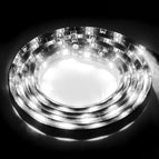 White Light / White Light