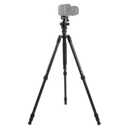 Triopo GT-2504X8.C Adjustable Portable Carbon Fiber Tripod with B-1 Aluminum Ball Head for Canon Nikon Sony DSLR Camera