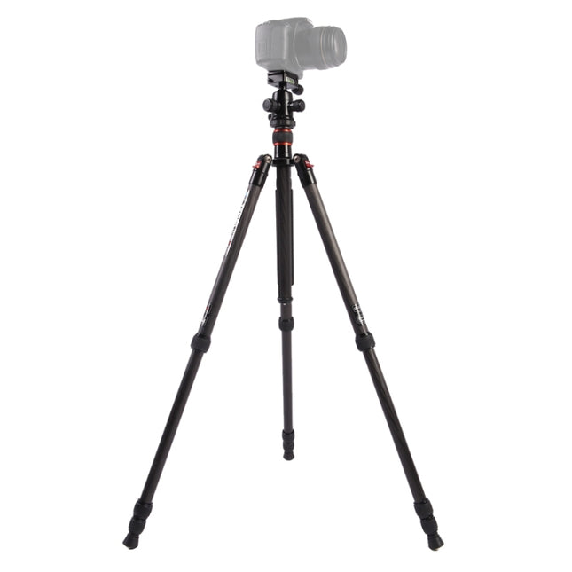 Triopo GT-2504X8.C Adjustable Portable Carbon Fiber Tripod with B-1 Aluminum Ball Head for Canon Nikon Sony DSLR Camera