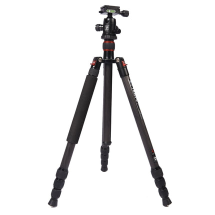 Triopo GT-2504X8.C Adjustable Portable Carbon Fiber Tripod with B-1 Aluminum Ball Head for Canon Nikon Sony DSLR Camera