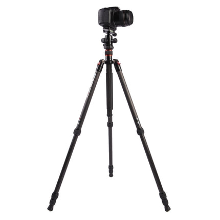 Triopo GT-2504X8.C Adjustable Portable Carbon Fiber Tripod with B-1 Aluminum Ball Head for Canon Nikon Sony DSLR Camera