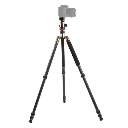 Triopo GT-2504X8.C Adjustable Portable Carbon Fiber Tripod with B-1 Aluminum Ball Head for Canon Nikon Sony DSLR Camera