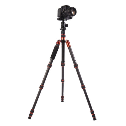 Triopo GT-2505x8.C Adjustable Portable Carbon Fiber Tripod with B-1 Aluminum Ball Head for Canon Nikon Sony DSLR Camera, GT-2505x8.C (Black), GT-2505x8.C (Gold)