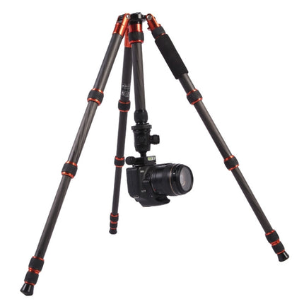 Triopo GT-2505x8.C Adjustable Portable Carbon Fiber Tripod with B-1 Aluminum Ball Head for Canon Nikon Sony DSLR Camera, GT-2505x8.C (Black), GT-2505x8.C (Gold)