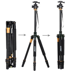 ZOMEI Z688 Portable Professional Travel Magnesium Alloy Material Tripod Monopod with Ball Head for Digital Camera