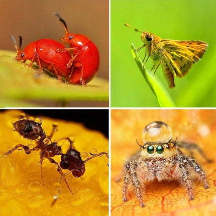 6 in 1 58mm Close-Up Lens Filter Macro Lens Filter + Filter Adapter Ring for GoPro HERO3