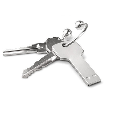 2GB Key USB Flash Disk, 2GB, 4GB, 8GB