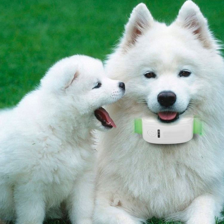 KH-909 Universal IPX6 Waterproof GPS Tracker for Pet / Kid / the Aged, KH-909 White + Blue, KH-909 White + Black