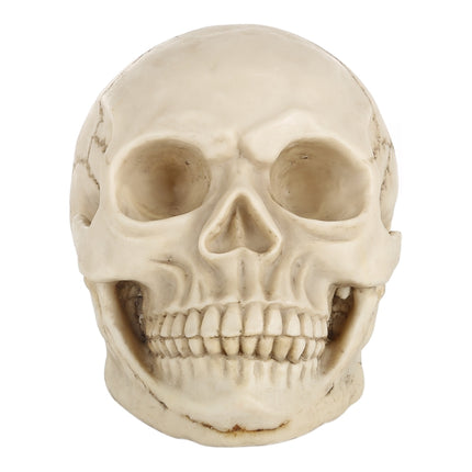 Skull Head Hallowmas Prop Gadget Display, Size: 19(L) x 13(W) x 14cm(H)