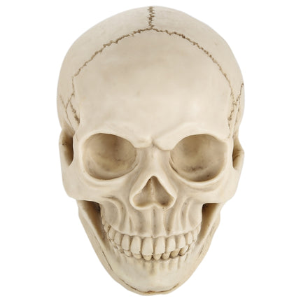 Skull Head Hallowmas Prop Gadget Display, Size: 19(L) x 13(W) x 14cm(H)