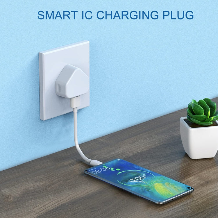 5V / 1A UK Plug USB Charger