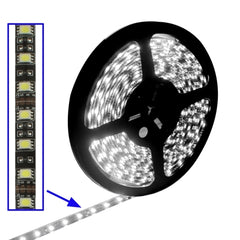 White Light 5050 SMD LED, 30 LED/m