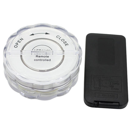 10-LED with Remote Control