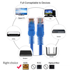 Cat5e Network Cable, Length: 3m, 3m Blue