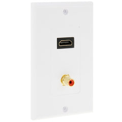 HDMI Female + RCA Female Plug Wall Plate Panel