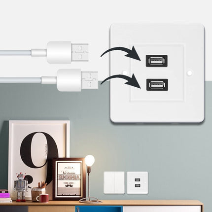 Dual USB 2.0 Female Plugs Home Wall Charger Plate Wall Plate Panel, 2 Ports USB 2.0