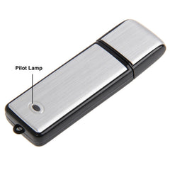 USB Voice Recorder + 8GB USB Flash Disk, 8GB