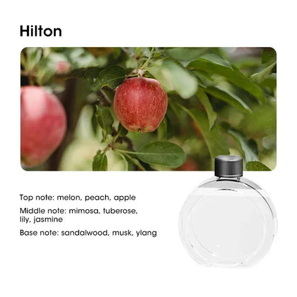 Mini Aroma Diffuser USB Plant Essential Oil Diffuser Home Car Aromatherapy Machine Toilet Office Air Purification Nebulizer