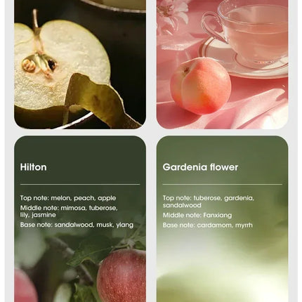 Mini Aroma Diffuser USB Plant Essential Oil Diffuser Home Car Aromatherapy Machine Toilet Office Air Purification Nebulizer