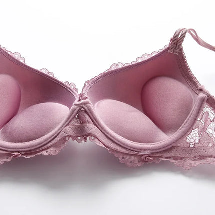 1 Set Elegant Erotic Lace Embroidery Breathable Fabric Lingeries : Push-Up Bra, Low Waist Sheer Panty - Ultimate Valentine's Day