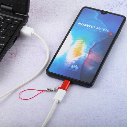 Mini Portable USB to Type-C & USB-C Converter Adapter with OTG