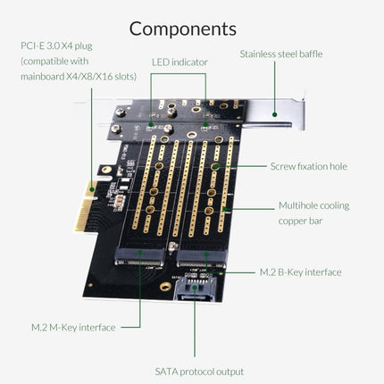 Tarjeta de expansión ORICO PDM2 M.2 NVME a PCI-E 3.0 X4