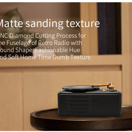 Retro Style Bluetooth Speaker, Built-in High-sensitivity FM Receiving Antenna, Long-term Voyage, T12 (Brown)