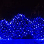 Blue Light