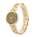 For Garmin Lily / Gold