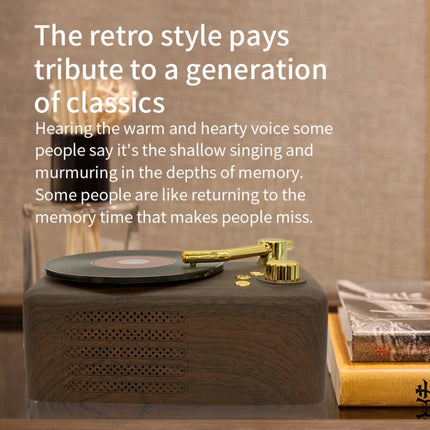 Retro style,built-in high-sensitivity FM receiving   antenna,long-term voyage, T12 (Black)