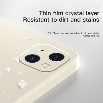 Solid Color Cube Straight Edge Liquid Silicone Lining Flannel Case, For iPhone 13 Pro Max, For iPhone 13